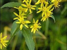 ���������� ������������ (������� �����).���� 37,8 ���.