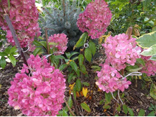 ��������� ������ �����