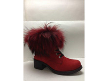 14��-0131 �����.���.  115$