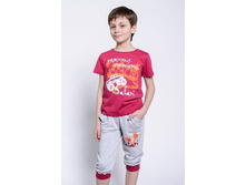 441 ���, �������� ��� 30-17.006.1, ��. �����.jpg