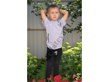 �-0713 ��������