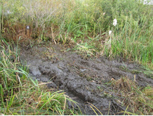 Resize of IMG_7619.JPG