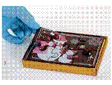 3 �.,��,���������� ���� ��� �������� "����"