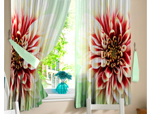 ������� ����� ��� �����.jpg