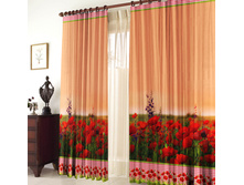 ����� ����.jpg