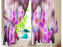 ����� ��� ����� �������.jpg