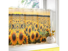 ���������� �����.jpg