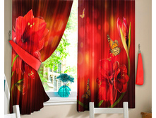 �������� ����� ��� �����.jpg