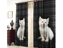 ����� ����� ��ԣ���.jpg