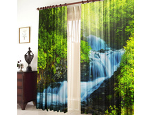 ����� ������ �����.jpg