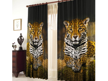 ����� �������.jpg