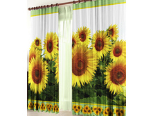 ����� ���������� �� ������.jpg