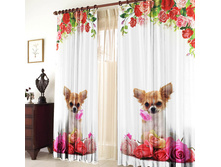 ����� �������.jpg