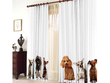 ����� � ���������.jpg