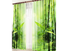 ����� ��������.jpg