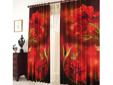 ����� �������� 270.jpg