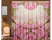 ���� �������� �����.jpg