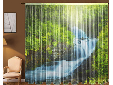 ���� ������ �����.jpg