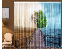 ���� ������.jpg