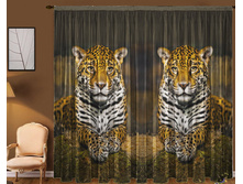 ���� �������.jpg