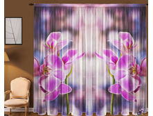 ���� �������.jpg