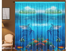 ���� ��������� ���.jpg