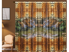 ���� ���� 2.jpg