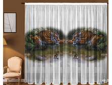 ���� ���� �����.jpg