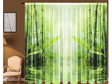 ���� ��������.jpg