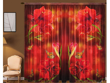 ���� ��������.jpg