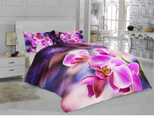 ��� �������.jpg