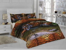 ��� ����.jpg