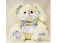 62.500.jpg