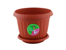 ���� �� �� ����� 42�� ING41042� 239.15�.jpeg