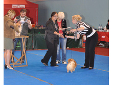 14.09.14 ����������� 093.JPG
