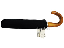 Sponsa 8142 ���� ������� 3 ���� �/� �������� ���� ������ - 598 ���.+%