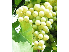 �������� ���������� �����.jpg