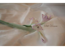 ������� ����.jpg