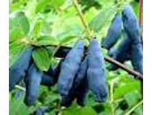 ��������� �������� ������.jpg