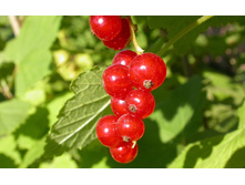 ��������� ������� �����������.jpg