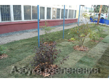 ��������� ���.jpg