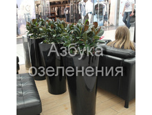 ������������ ����������.jpg