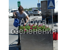 ������� ���������.jpg