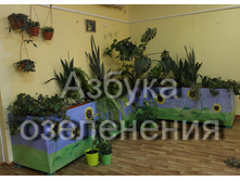 ������� ������� ������ � �����.jpg