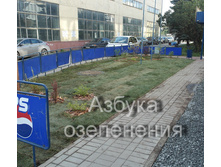 ��������� ���2.jpg