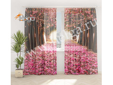 �������� ��� v2 ���.3529-�.jpg