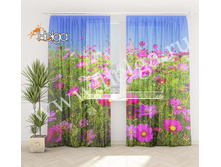 ������� ����� ���.3536-�.jpg