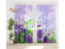 ��������� ����� ���.3537-�.jpg