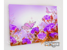 ������� � ����� v1 ���.3346-�.jpg