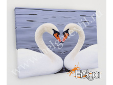 ������ ���.2781-�.jpg